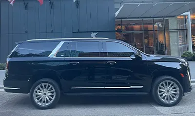 concerts and sporting events