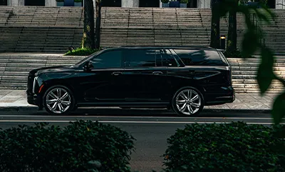 concerts and sporting events