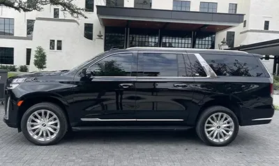 concerts and sporting events