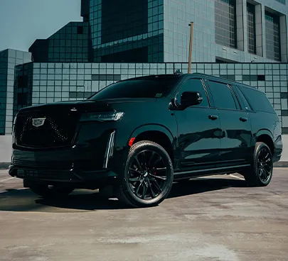 concerts and sporting events